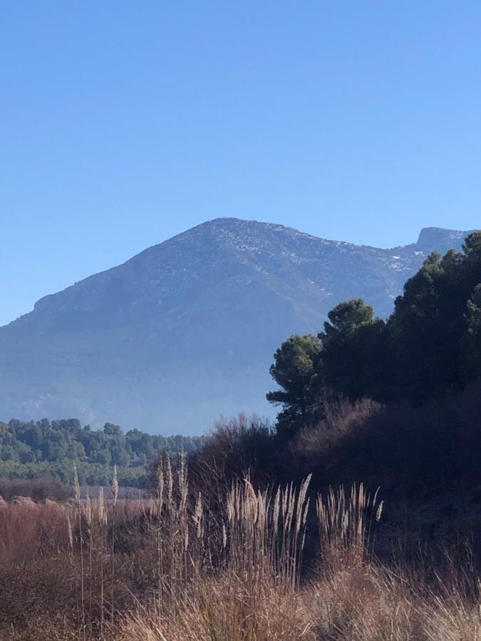 Apartamentos Rurales Mirador Del Negratin Cuevas del Campo Eksteriør bilde